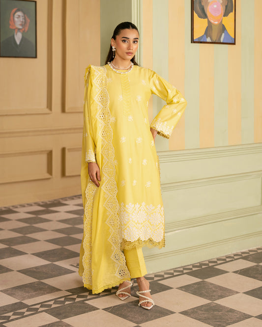 Premium Chikankari D#02