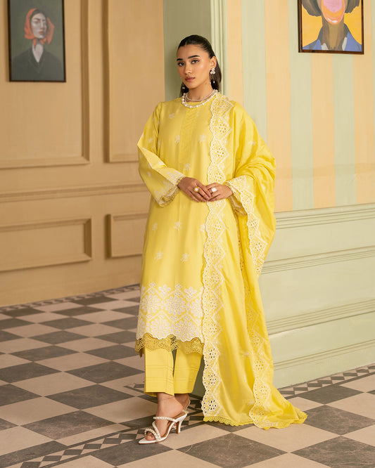 Premium Chikankari D#02