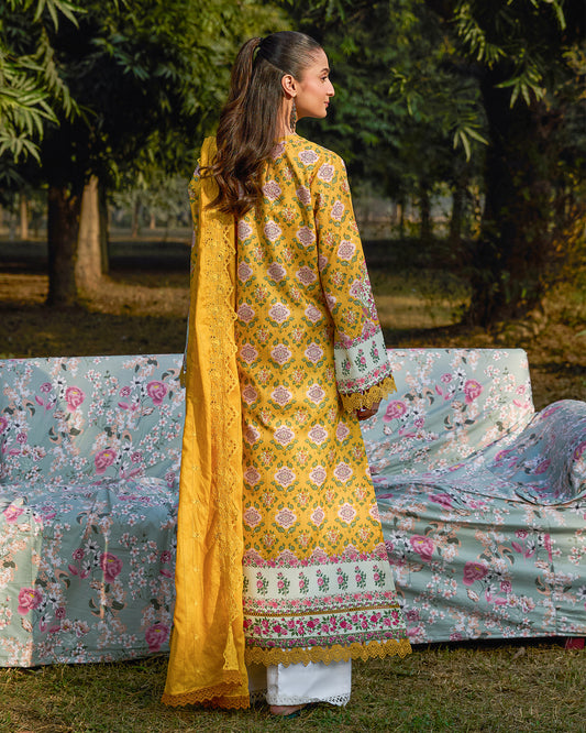 Embroidered Chikankari Vol 01 D#06