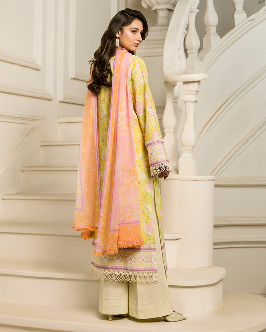 Chikankari Prints Vol 01 D# 01